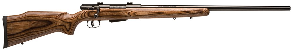 Savage Arms 25 Lightweight Varminter Bolt 223 Rem 24 in Stainless 4 Rounds