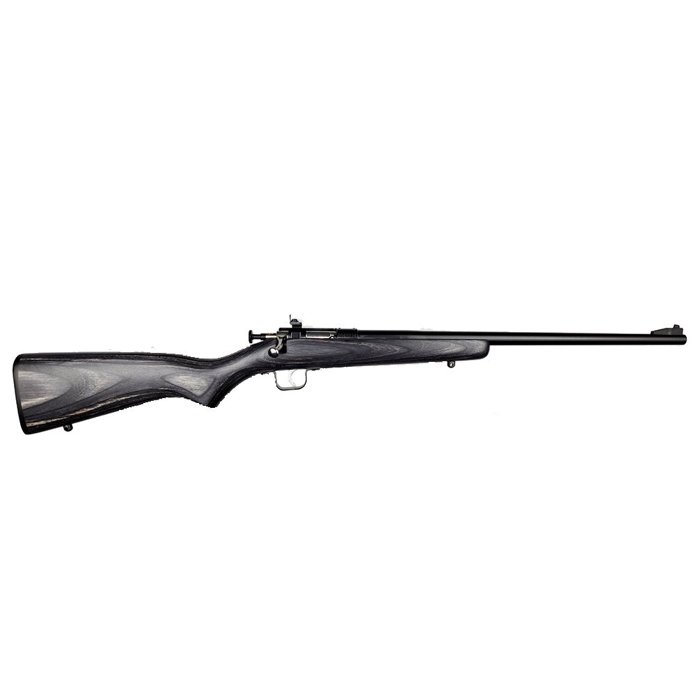 Crickett KSA2244 Youth 22 LR 1rd 16.12" Blued Barrel & Receiver Fixed
