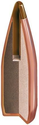 Hornady 22000 .20 Cal 24 Grain NTX Bullets 0.204" 100-Rounds - Hornady Manufacturing Company - 20 CALIBER