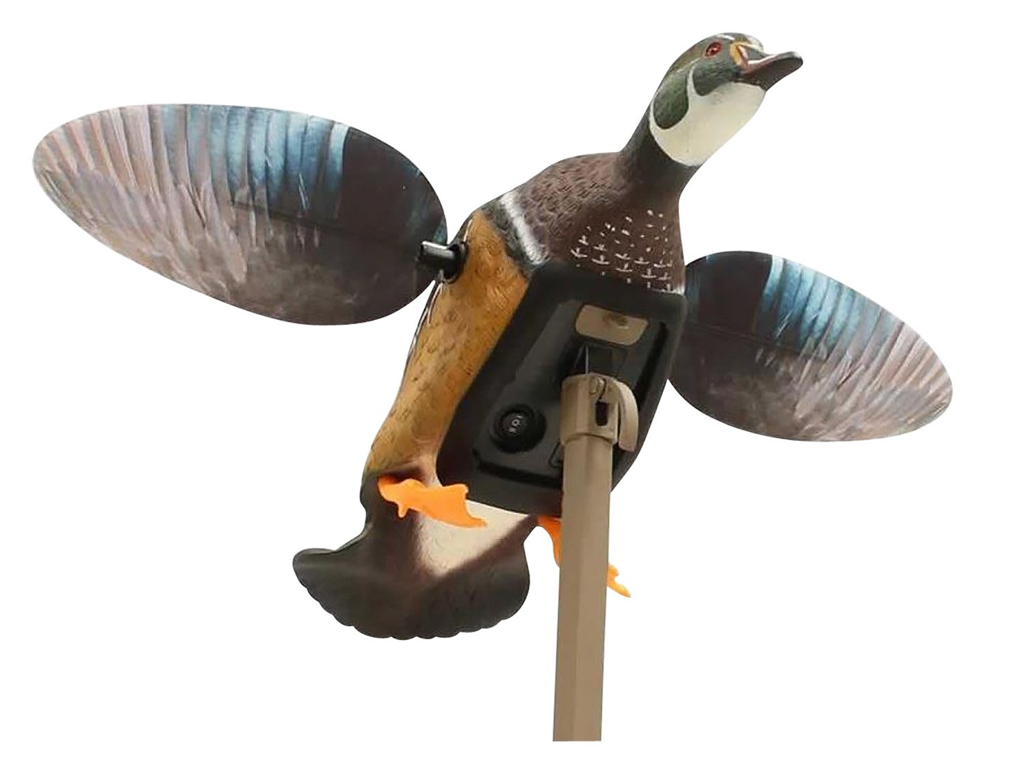 Mojo Outdoors HW24723P Elite Series Woody Multi-Color Decoy - Mojo Outdoors