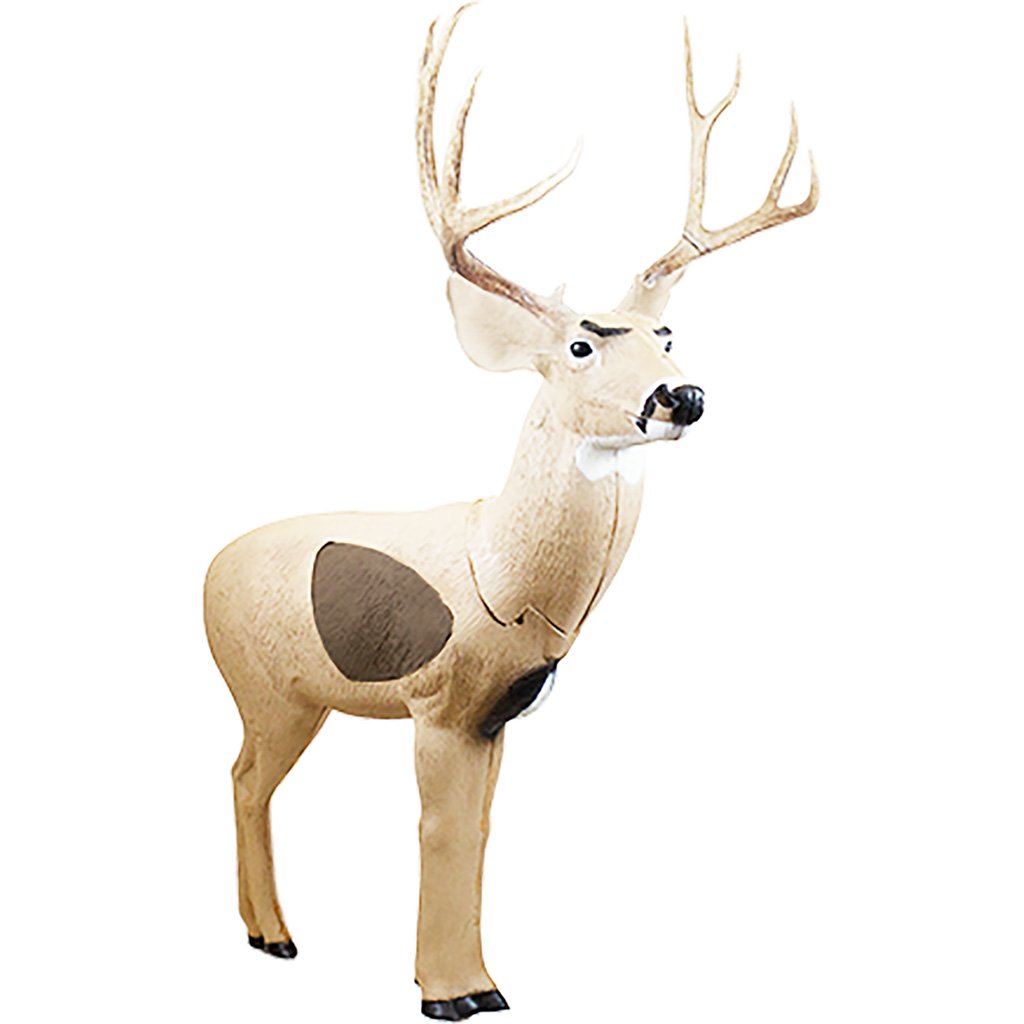 Buy Rinehart 18021 Signature Mulie Insert, Self-Healing FX Foam online