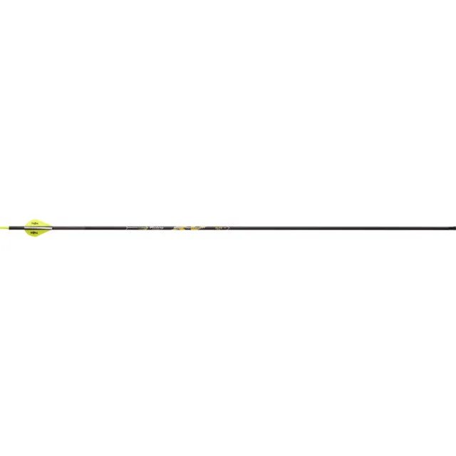 Victory RIPXVEB-300FB-6 Arrows 300 2" Vanes 6pk, ICE Coating, SHOK Inserts - Victory Archery