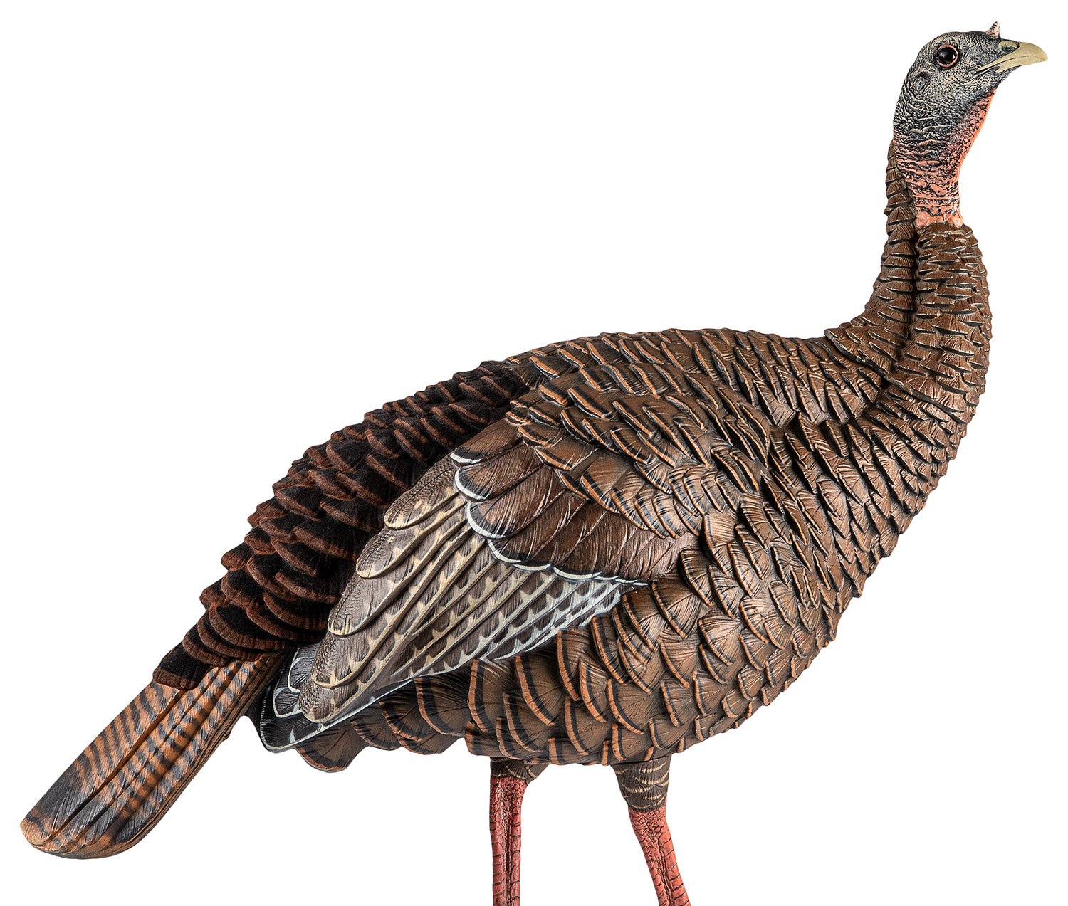 Buy Introducing the Heavy-Duty Realism Hdr line of turkey decoys. Blow-molded i online