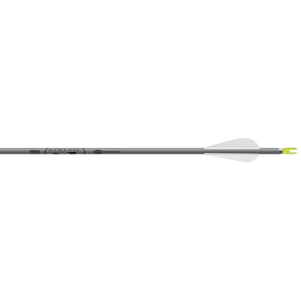 Buy Easton 131435 Genesis Arrows 3" Vanes Silver 36pk 7076 Alloy online