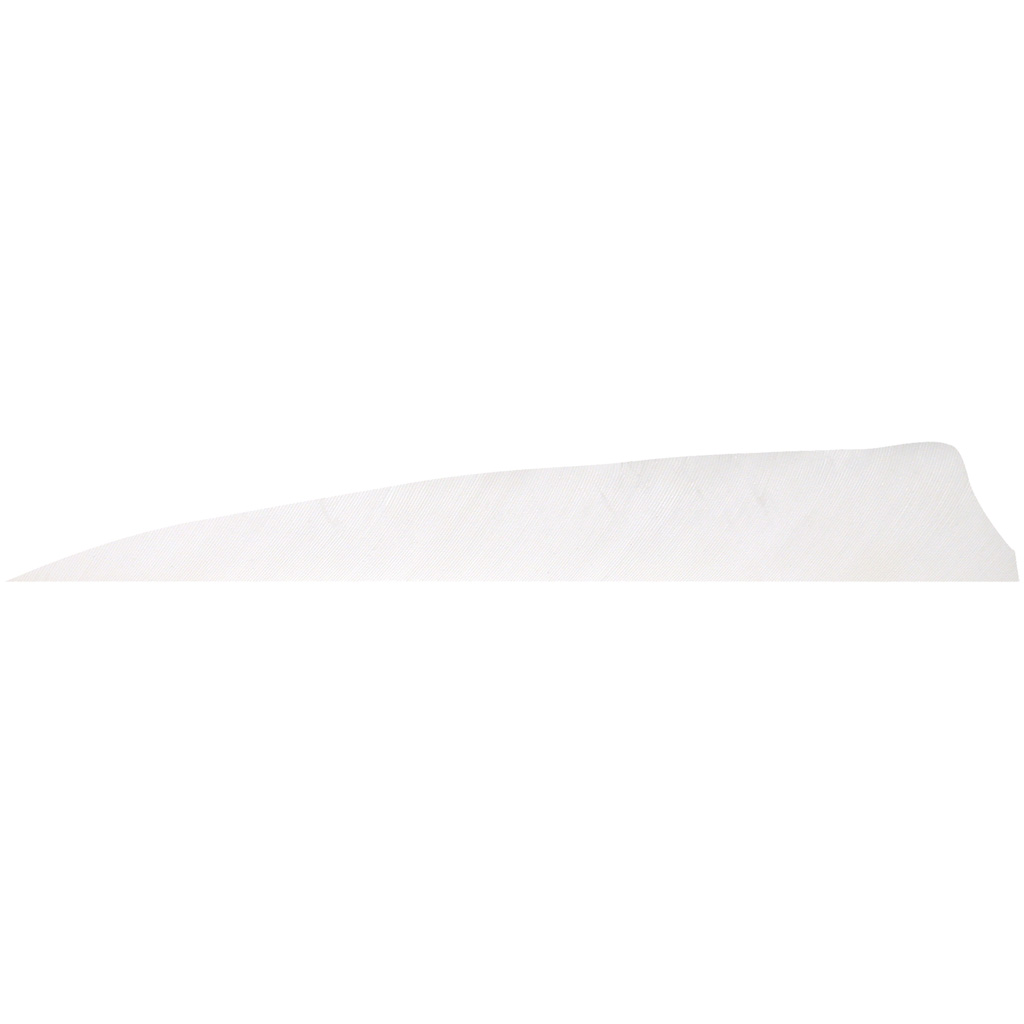 Gateway 500RSSFW-100 Shield Cut Feathers White 5" RW 100 Pack