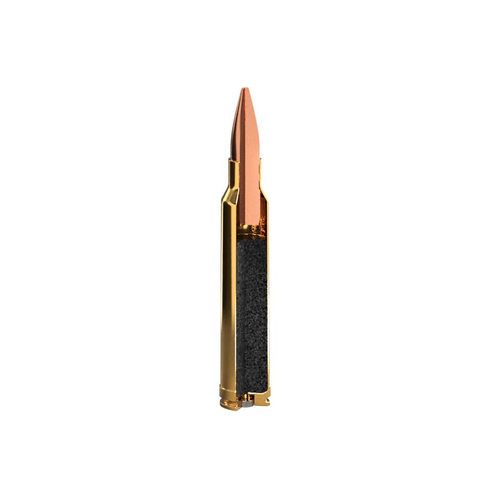SIG SAUER Elite Copper Hunting .300 Win Mag 165 gr 3110 fps 20 Rounds - View 2