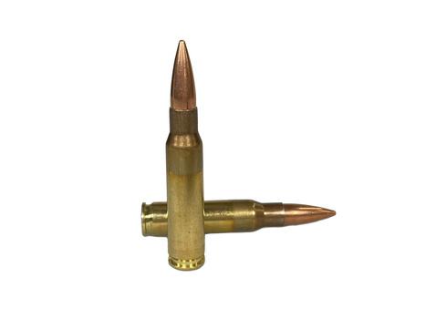 IGMAN 810091156261 7.62x51 M80 Ammunition, 20 Rounds - View 2