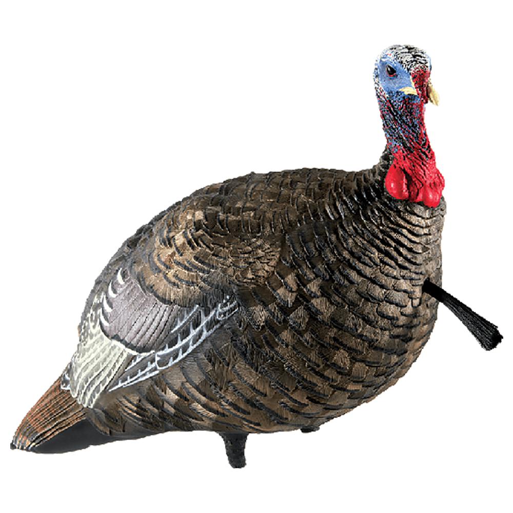 Avian X LCD Quarter Strut Jake Decoy - Lifelike Turkey Hunting Decoy - View 2