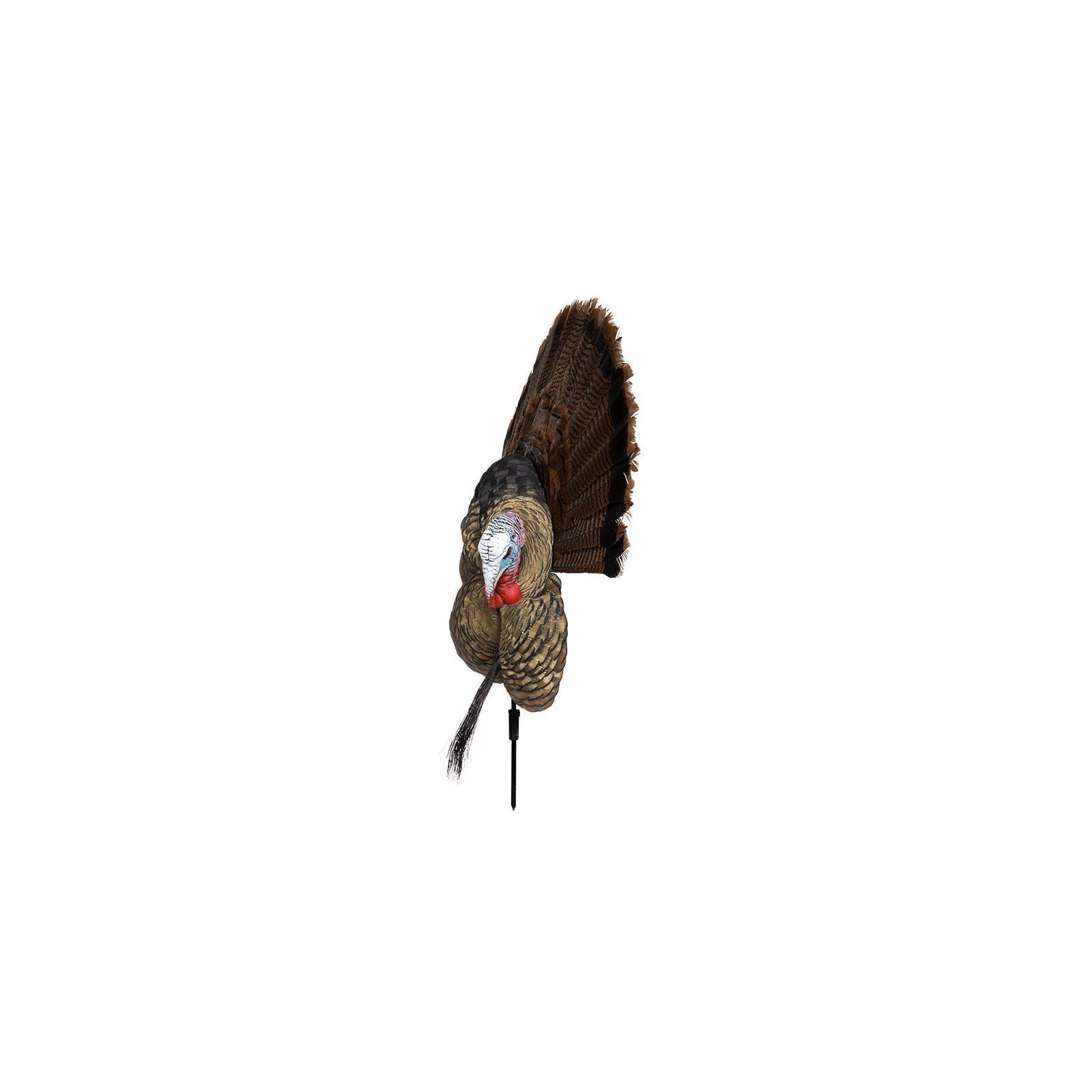 Avian X Trophy Tom Display Mount/Decoy - Black - View 2
