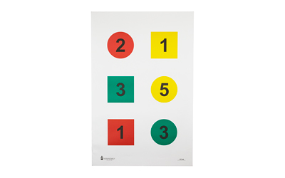 Action Target DT4A100 Training Targets 23"x35" Multi-Color 100 Pack - View 2