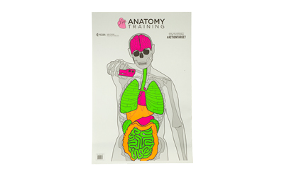 Action Target GSANATOMY100 Paper Silhouette/Vitals Target 23"x35" 100 Pack - View 2