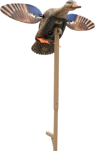 Mojo Outdoors HW24713P Elite Series Mini Hen Mallard Decoy, Remote Control - View 2