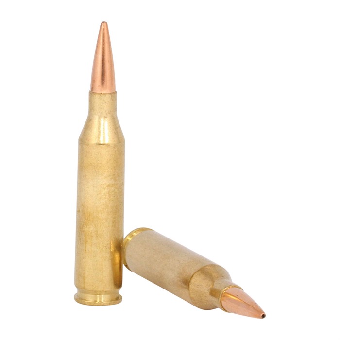 HSM Ammunition Trophy Gold 243 Winchester 95gr BTHP 20rd - View 3
