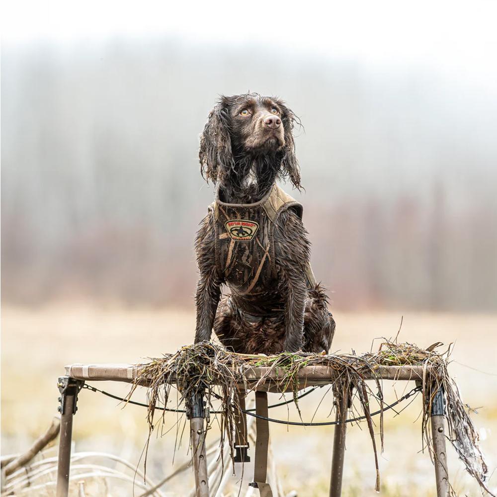 Rig'Em Right Swamp Bully Dog - View 2