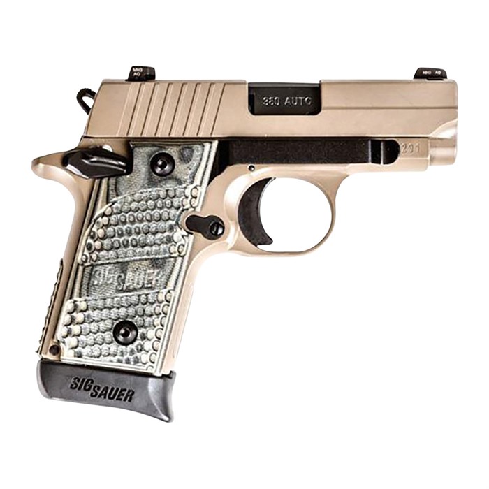 Techna Clip Sig Sauer P238 Conceal Carry Gun Belt Clip Black - View 2