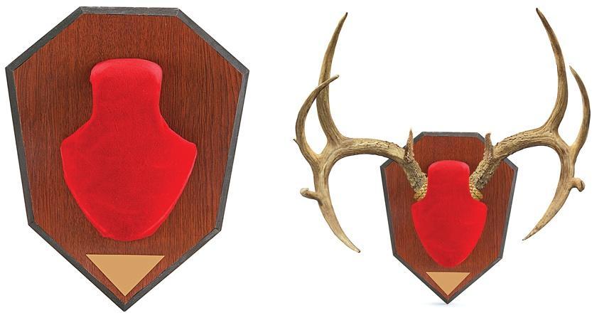 561 Allen Antler Mounting Kit: Red Skull Cap, Wood Grain Laminated Plaque, Engravable Plate, Adjustable Horn Configuration - View 2