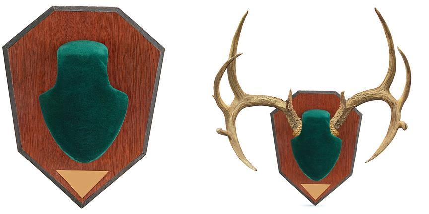 Allen 562 Antler Mounting Kit Green Wood Grain Laminate - View 2