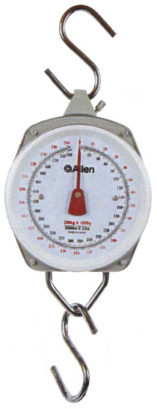 Allen 5500 Scale 550 lbs Capacity Adjustable Tare Weight Sturdy Design - View 2