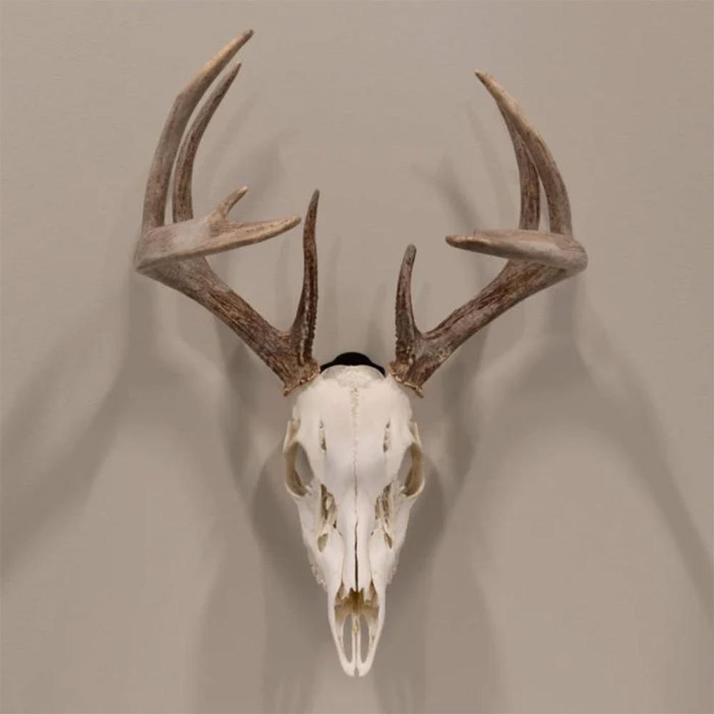 Allen EZ Mount Skull Peg Hook Black - View 2