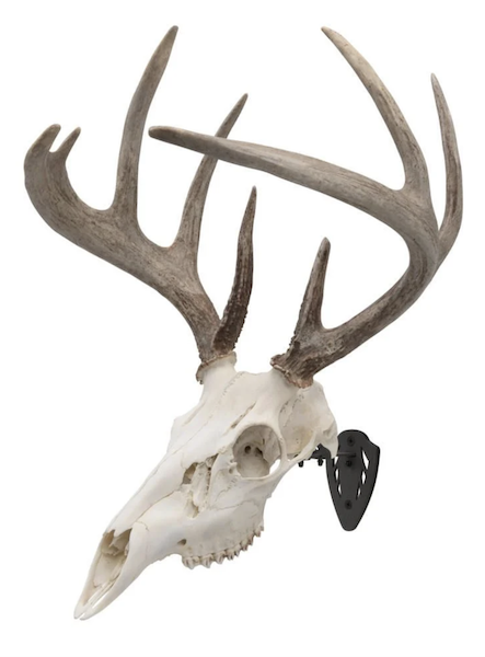 Allen 7227 EZ Mount Skull Hanger Black Steel Wall Mount for Game Skulls - View 2
