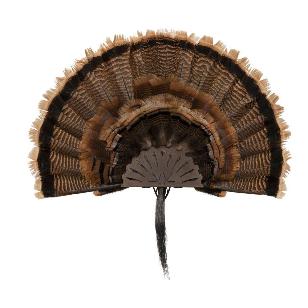 Allen EZ Mount Turkey Fan Display - Brown Showpiece - View 2