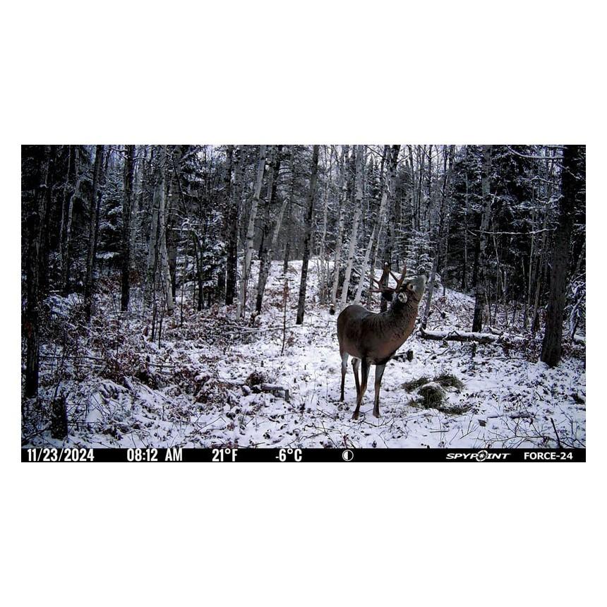 SPYPOINT 01839 FORCE-24 Trail Camera 24MP 0.7s Trigger Speed - View 2
