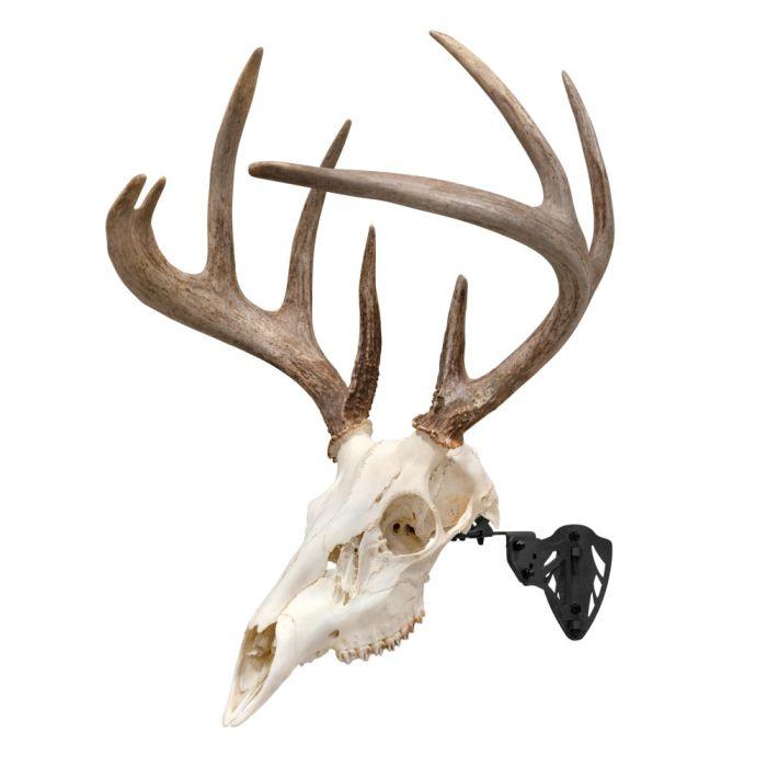Allen 7254 EZ Mount Trophy Skull Hanger Black Steel for Small/Mid Game - View 2