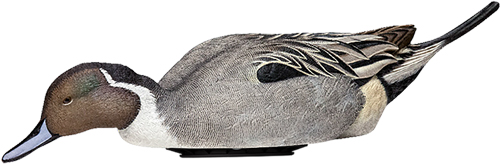 Avian X AVXPSHPNSF Power Shaker Pintail Duck Decoy Multi-Color - View 2