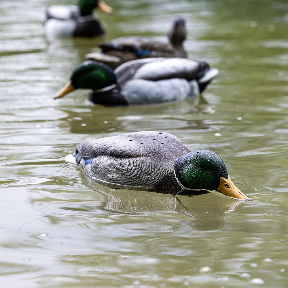 Avian-X Tip Up Mallard Decoy Realistic Feeding Motion Patent-Pending Design - View 2
