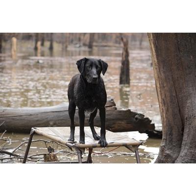 MOmarsh 34025 Final Stand Brown Mesh 31"x24" Adjustable Dog Platform - View 2