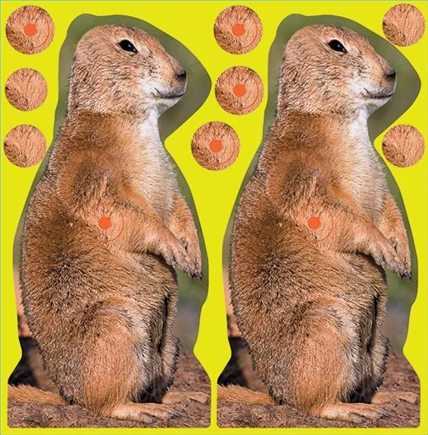 Birchwood Casey 34786 Prairie Chuck 8 in Self-Adhesive Target 12 Pack - View 2