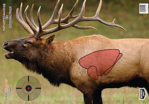 Birchwood Casey PREGAME Elk Target 16.5" x 24" 3 Pack - View 2