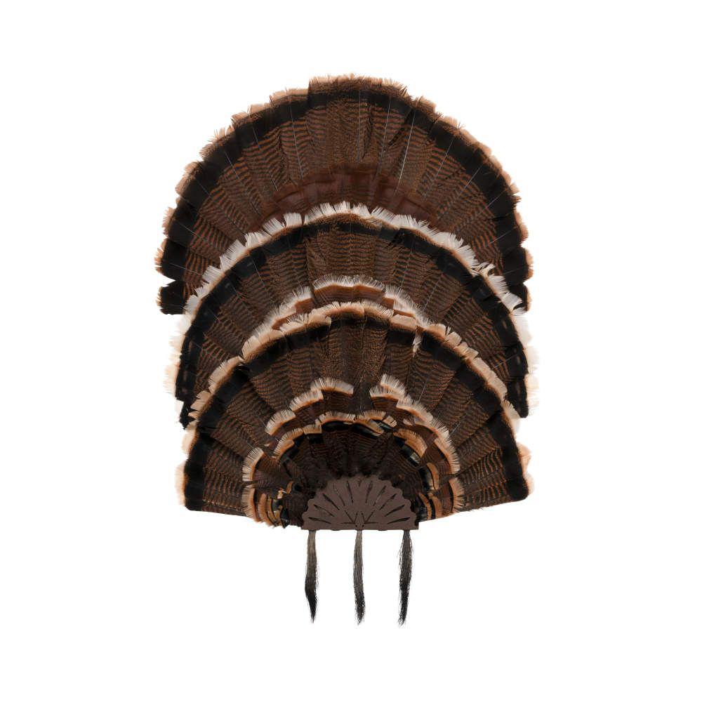 Allen EZ Mount Stacked Turkey Fan Mount 5 stack - View 2