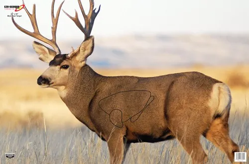 Birchwood Casey 37482 EZE-Scorer Mule Deer Paper Hanging 23" x 35"... - View 2