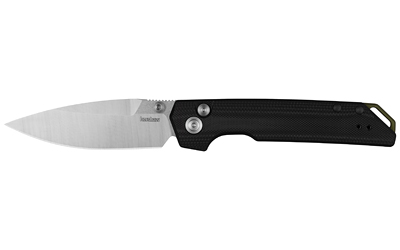 Kershaw 3038 Iridium Button Lock Folding Knife 3.45 In Spear Point Blade - View 2