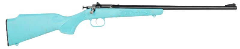 Keystone Crickett Rifle 22 LR 16.1 in. Blued/Blue w/Gold Web - View 2