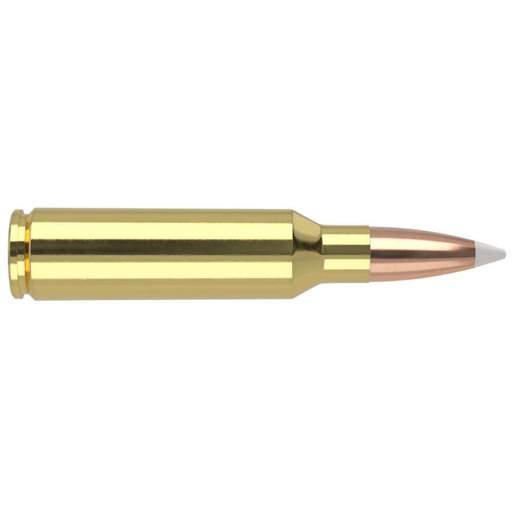 Nosler 60063 Trophy Grade Hunting 300 WSM 180 gr AccuBond 20 Per Box/ 10 Cs - View 2