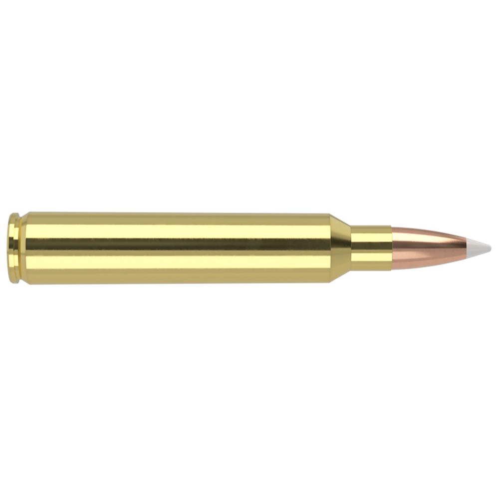 Nosler 60065 Trophy Grade Hunting 300 RUM 180 gr AccuBond 20 Per Box/ 10 Cs - View 2
