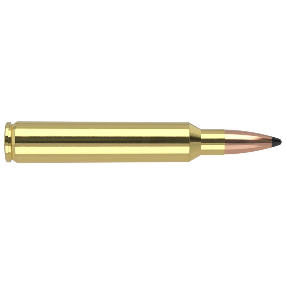 Nosler 60066 Trophy Grade 300 RUM Ammo, 180gr PT, 20 Rounds - View 2