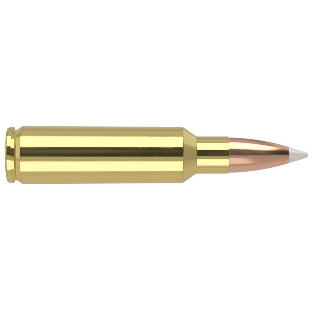 Nosler Trophy Grade Hunting 325 WSM 200 gr AccuBond Ammo - 20 Per Box/10 Cs - View 2