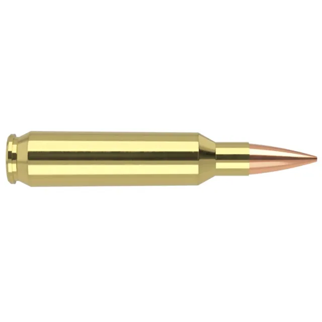 Nosler Match Grade .22 Nosler Ammo 70 gr RDF 20/box - View 2