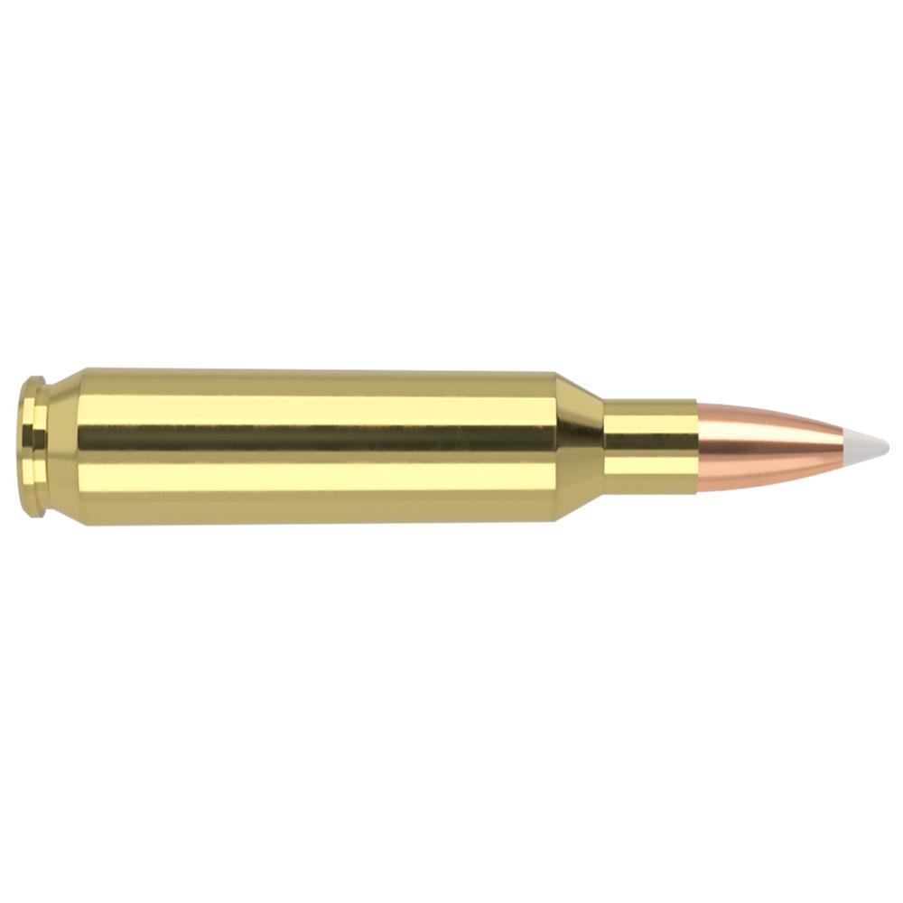 Nosler 60918 Trophy Grade 22 Nosler 70 Grain AccuBond 20 Rounds - View 2