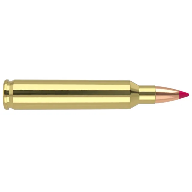 Nosler 204 Ruger Ballistic Tip Ammunition, 40 Grain, Brass Cased, 20 Rounds, Spitzer Bullet, Varmint Use - View 2