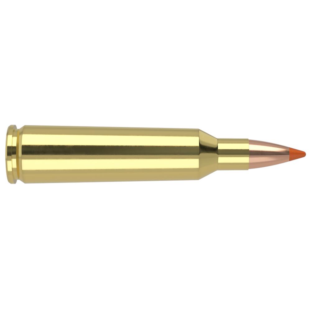 Nosler 61044 .22-250 Rem 40gr Lead Free Ballistic Tip 20 Rounds - View 2