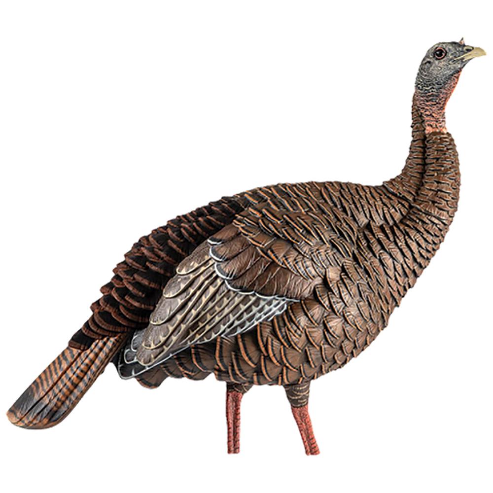 Introducing the Heavy-Duty Realism Hdr line of turkey decoys. Blow-molded i - View 2