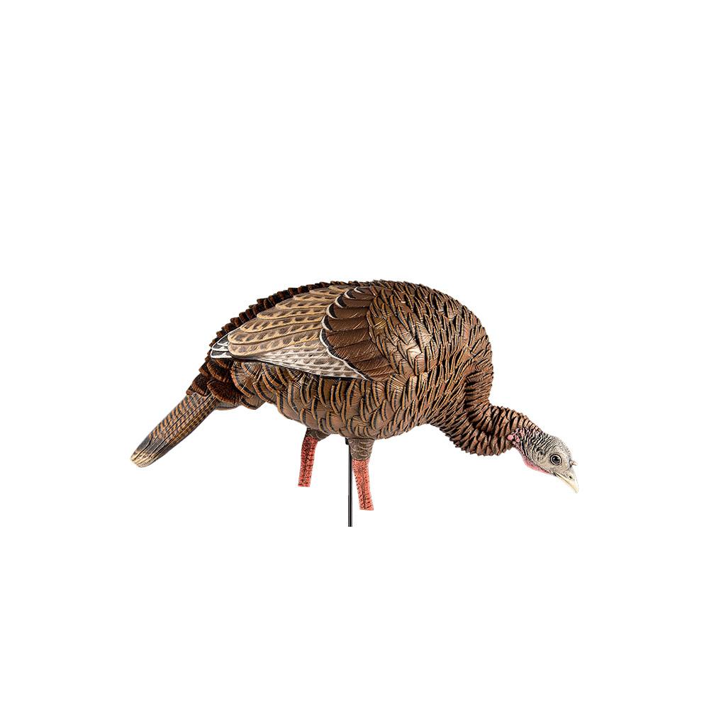 Avian X HDR Feeder Hen Turkey Decoy - Realistic Multi-Color Design - View 2