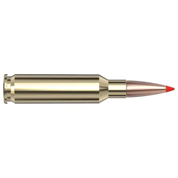 Hornady American Whitetail Tipped Rifle Ammo 6.5 Creedmoor 129 gr. SST 20 rd. - View 2