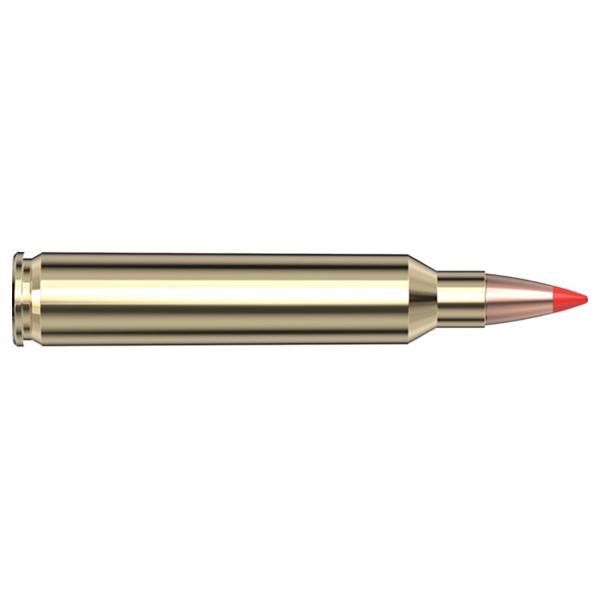 Hornady Superformance Varmint 204 Ruger 40 Grain V-Max 20 Rounds - View 2