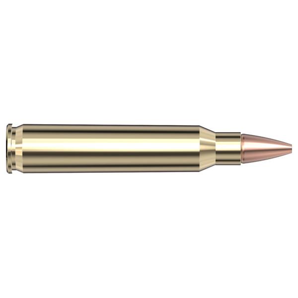 Hornady Superformance 223 Rem 50 gr CX 20 Rounds Box Copper Alloy - View 2