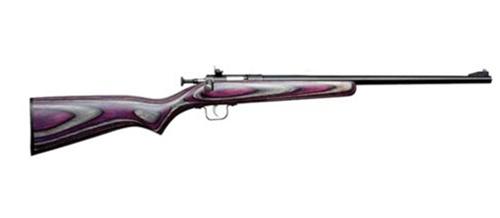Keystone Crickett KSA2227 22 LR 16.12 in Blued Barrel Bolt Action - View 2